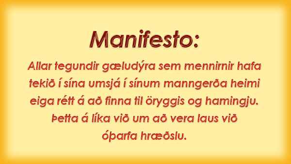 manifesto-islenska